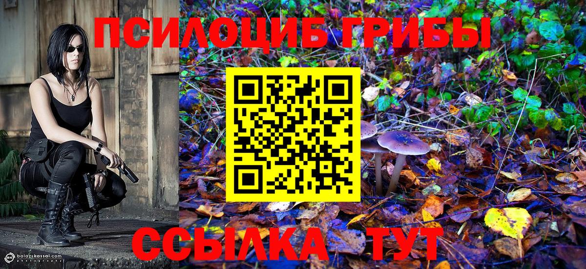 Псилоцибиновые грибы мицелий  Вход с VPN  Нефтекамск 